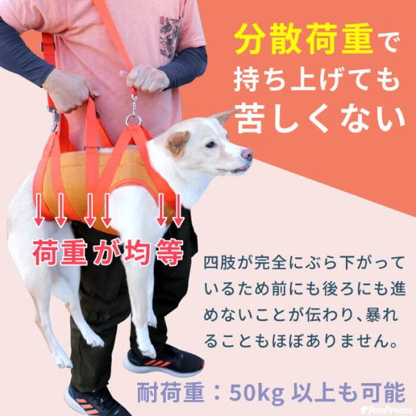 画像6: 中・大型犬用 メッシュオールケアハーネス 8〜9号 (6)