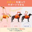 画像4: 中・大型犬用　メッシュオールケアハーネス　10号 (4)