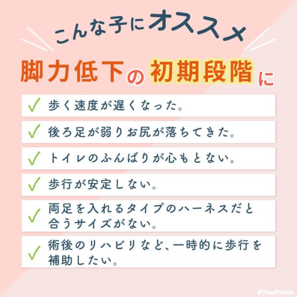 画像3: 中・大型犬用 メッシュオールケアハーネス 8〜9号 (3)