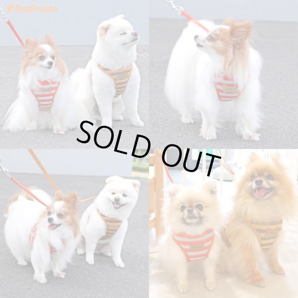 画像4: スーパーハーネス＆リード ボーダーニット 3〜4号【防虫パックプレゼント】 (4)