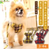 画像: スーパーハーネス＆リード ボーダーニット 3〜4号【防虫パックプレゼント】