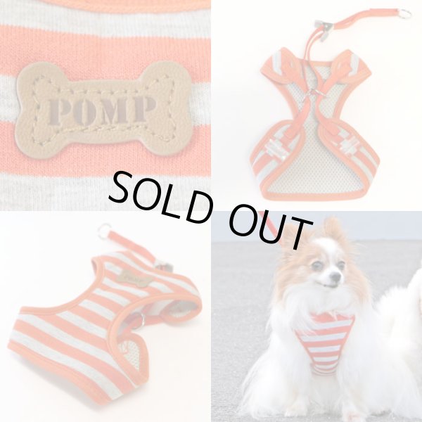 画像10: スーパーハーネス＆リード ボーダーニット 3〜4号【防虫パックプレゼント】 (10)