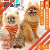 画像: スーパーハーネス＆リード ボーダーニット 3〜4号【防虫パックプレゼント】
