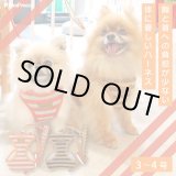 画像: スーパーハーネス＆リード ボーダーニット 3〜4号【防虫パックプレゼント】