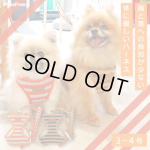 画像: スーパーハーネス&リード ボーダーニット 3〜4号【防虫パックプレゼント】