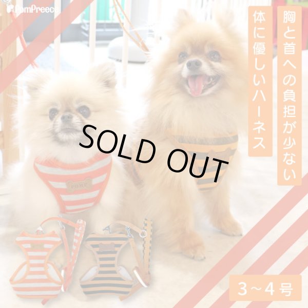 画像1: スーパーハーネス＆リード ボーダーニット 3〜4号【防虫パックプレゼント】 (1)