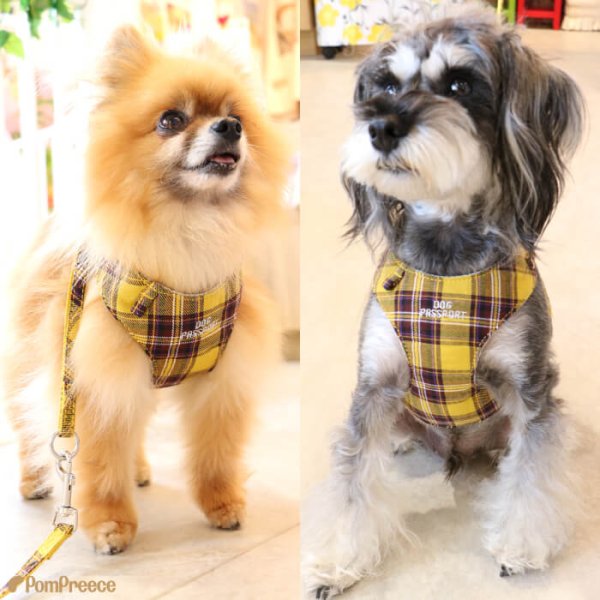 画像3: スーパーハーネス＆リード ボーダーニット 1〜2号【防虫パックプレゼント】 (3)