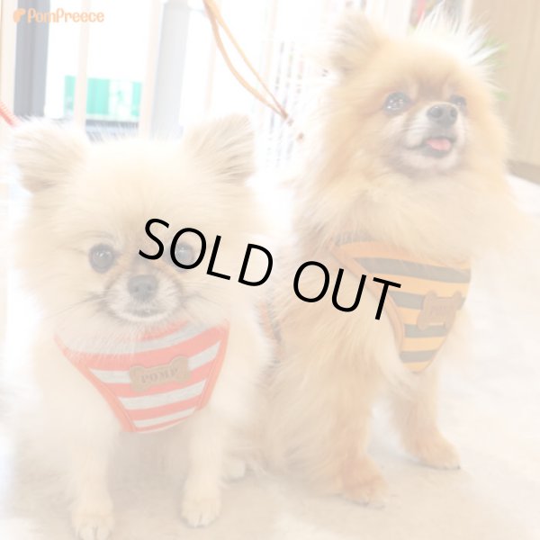 画像3: スーパーハーネス＆リード ボーダーニット 3〜4号【防虫パックプレゼント】 (3)