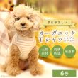 画像1: 中大型犬用オーガニックＴシャツ　シンプルボーダー　６号 (1)