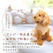 画像3: 中大型犬用オーガニックＴシャツ　シンプルボーダー　７号 (3)