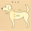 画像5: 中大型犬用オーガニックＴシャツ　シンプルボーダー　１０号 (5)