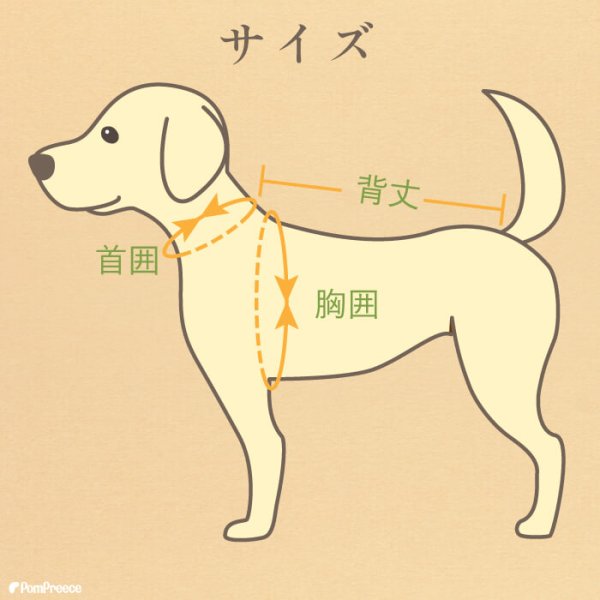 画像5: オーガニックＴシャツ　シンプルボーダー　５号 (5)