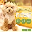 画像1: 中大型犬用オーガニックＴシャツ　シンプルボーダー　８号 (1)