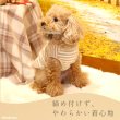 画像4: 中大型犬用オーガニックＴシャツ　シンプルボーダー　９号 (4)