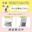 画像14: 高反発エアプレーンマット II (14)