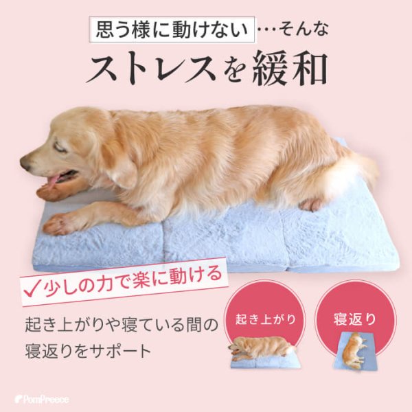 画像6: 高反発エアプレーンマット II (6)