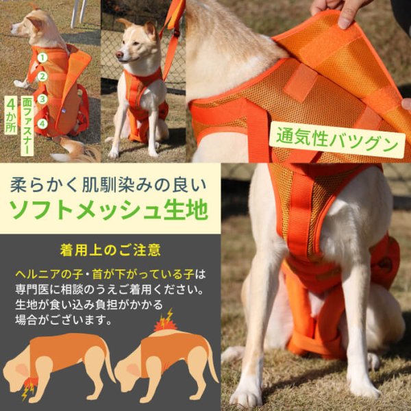 画像13: 中大型犬用 メッシュ3WAYケアハーネスプレミアム 8号 (13)