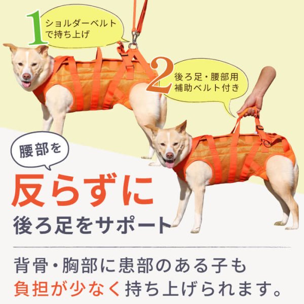 画像8: 中大型犬用 メッシュ3WAYケアハーネスプレミアム 8号 (8)