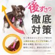 画像4: スーパーハーネス＆リードメッシュドッグスター　 6号【防虫パックプレゼント】 (4)