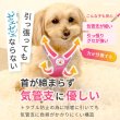 画像7: スーパーハーネス＆リードメッシュドッグスター　 6号【防虫パックプレゼント】 (7)