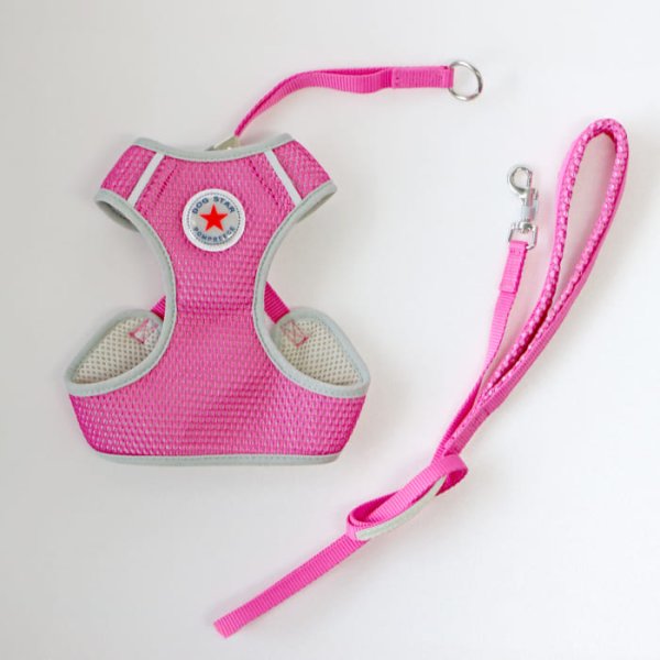 画像17: スーパーハーネス＆リードメッシュドッグスター　 1〜3号【防虫パックプレゼント】 (17)