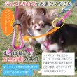 画像14: スーパーハーネス＆リードメッシュドッグスター　 6号【防虫パックプレゼント】 (14)