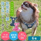 画像: スーパーハーネス＆リードメッシュドッグスター　 6号【防虫パックプレゼント】