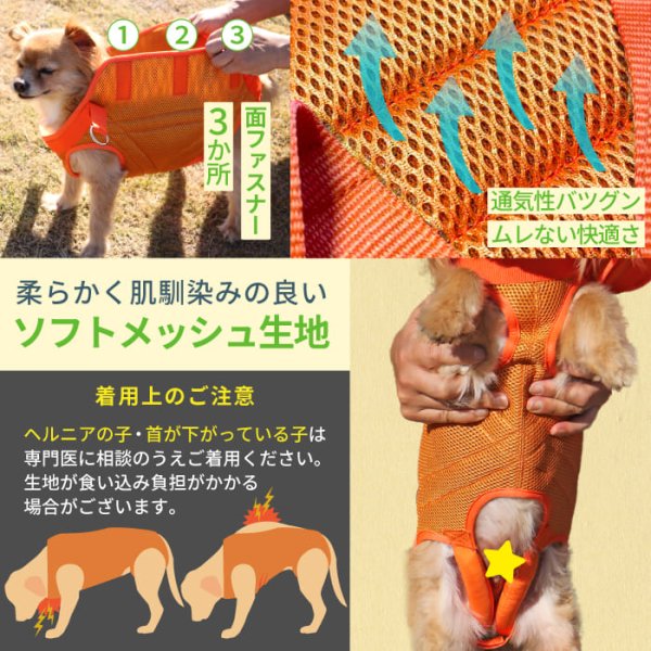画像13: 中大型犬用 メッシュ3WAYケアハーネスプレミアム 6号 (13)