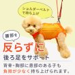 画像8: 中大型犬用 メッシュ3WAYケアハーネスプレミアム　6号 (8)