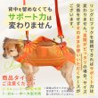 画像3: 中大型犬用 メッシュ3WAYケアハーネスプレミアム　6号 (3)