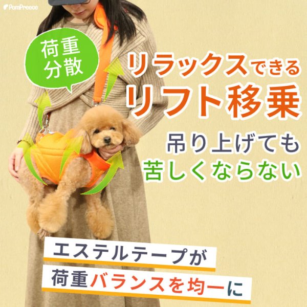 画像9: 中大型犬用 メッシュ3WAYケアハーネスプレミアム 6号 (9)