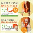 画像11: 中大型犬用 メッシュ3WAYケアハーネスプレミアム　6号 (11)