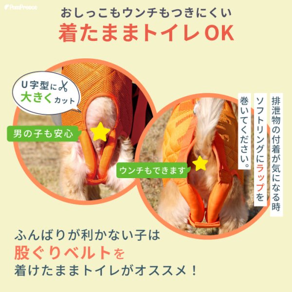 画像12: 中大型犬用 メッシュ3WAYケアハーネスプレミアム 6号 (12)