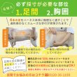 画像16: 中大型犬用 メッシュ3WAYケアハーネスプレミアム　6号 (16)