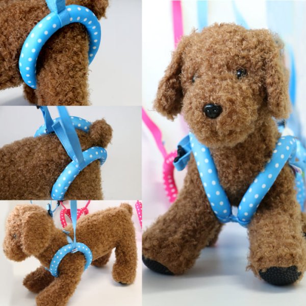 画像16: サポートドーナツリング プチドット 【S〜3L】 (16)