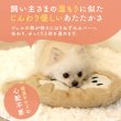 画像2: レンジＯＫ ぬくぬく湯たんぽラッコ (2)