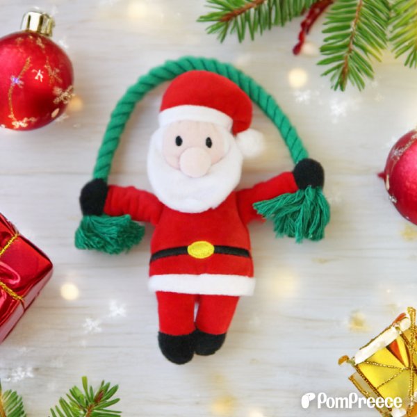 画像4: デンタルロープTOY クリスマスポップ (4)