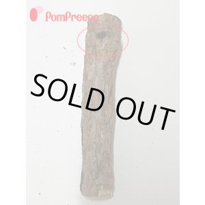 画像: 【お買い得】【訳有り　穴あき・削り跡有り】[ネコpom]国産　ニャンともBIG　またたびの木（2本入）