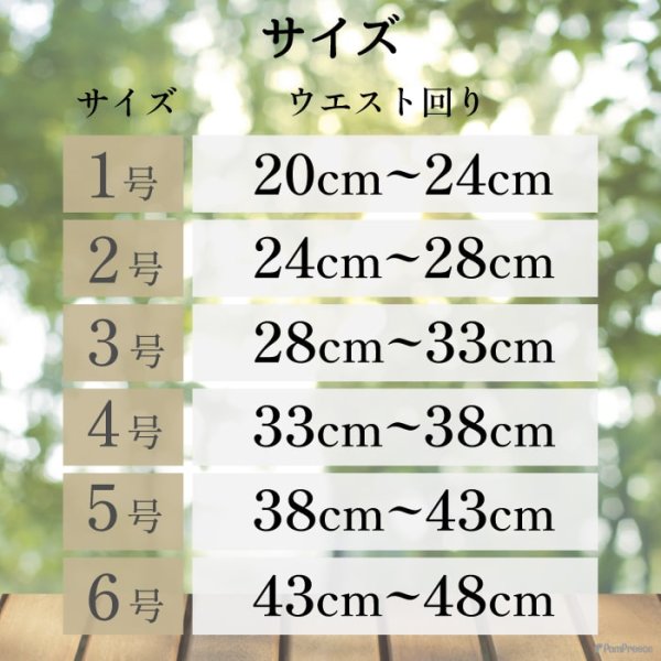 画像16: マナー兼用ラジウム健康ベルト 3号 (16)