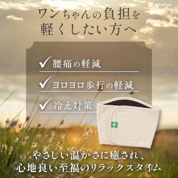 画像11: マナー兼用ラジウム健康ベルト 1号 (11)