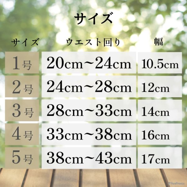 画像17: 中・大型犬用マナー兼用ラジウム健康ベルト 6号 (17)