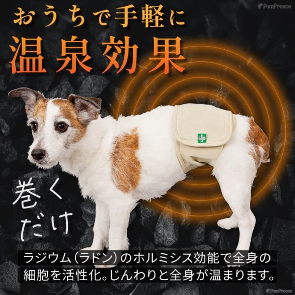 画像3: 中・大型犬用マナー兼用ラジウム健康ベルト　9号 (3)
