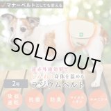 画像: マナー兼用ラジウム健康ベルト　2号