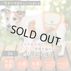 画像: マナー兼用ラジウム健康ベルト　2号