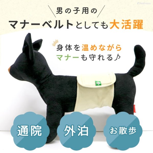 画像9: 中・大型犬用マナー兼用ラジウム健康ベルト　10号 (9)