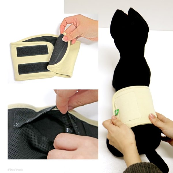 画像15: 中・大型犬用マナー兼用ラジウム健康ベルト 8号 (15)