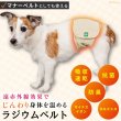 画像2: 中・大型犬用マナー兼用ラジウム健康ベルト　8号 (2)