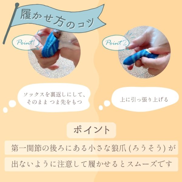 画像4: ソックス アーガイル SS・S・M (4)