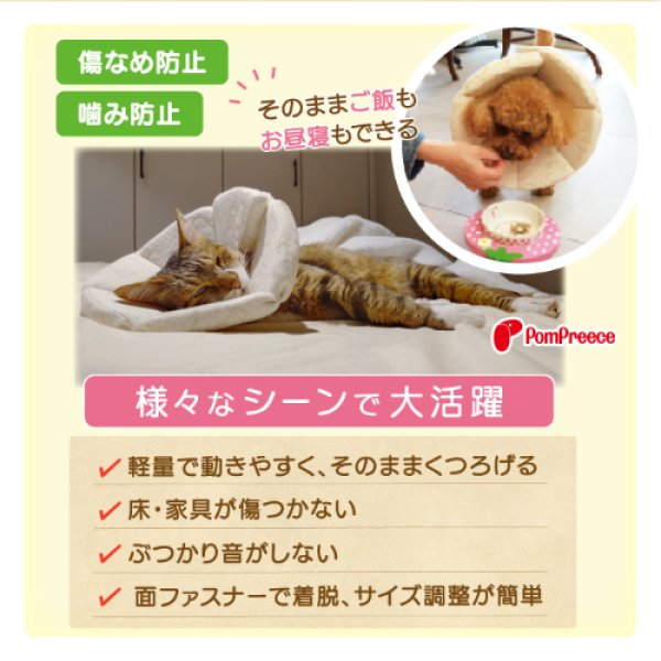 画像2: ロングブリリアントエリザベスカラー フェアオーガニック【5号】 (2)