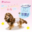 画像2: マナーパット不要！高吸収マナーベルト 【1〜3号】 (2)